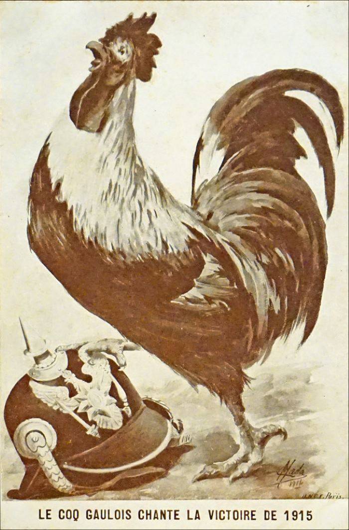 Pourquoi le coq gaulois est-il l'emblème de la France ?