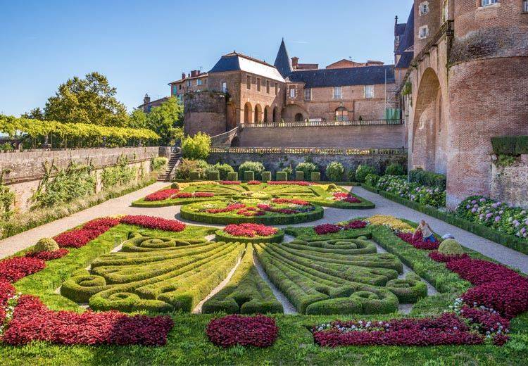 Quiz : connaissez-vous bien les fleurs et plantes ?