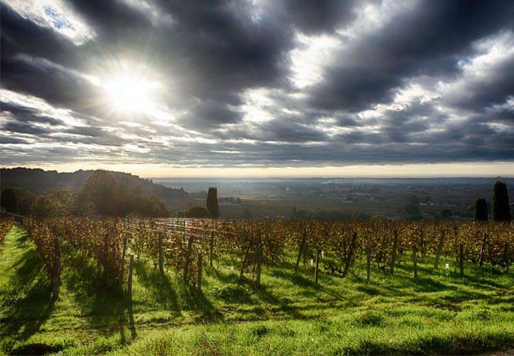 Le patrimoine des routes du vin de Bordeaux à parcourir sans modération !