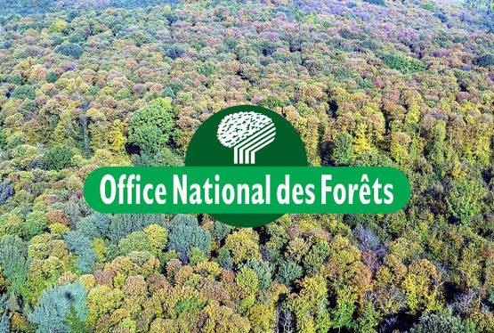 Les forêts françaises